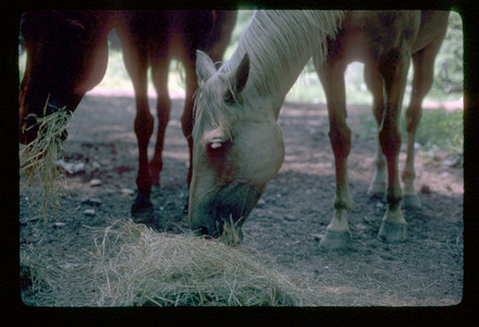 Slide967.jpg